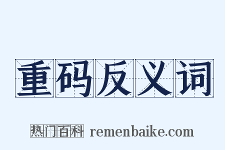 重码反义词是什么意思的图片